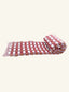 MULTI CHECKS DESIGN Of SUJNI - Growing Color